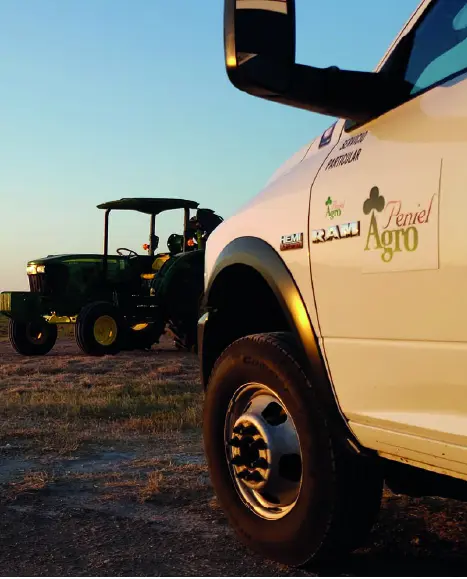 Cultivo saludable en campo