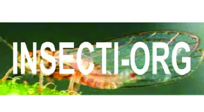 Presentación de Insecti-Org