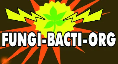 Presentación de Fungi-Bacti-Org